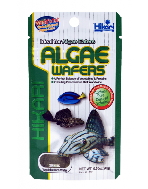 Hikari Algae Wafers 22 gram