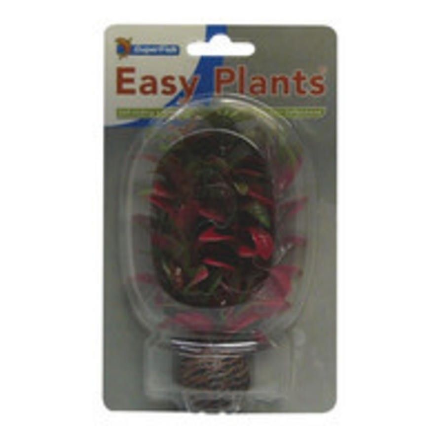Superfish Easy Plant voorgrond 7 - 13 cm
